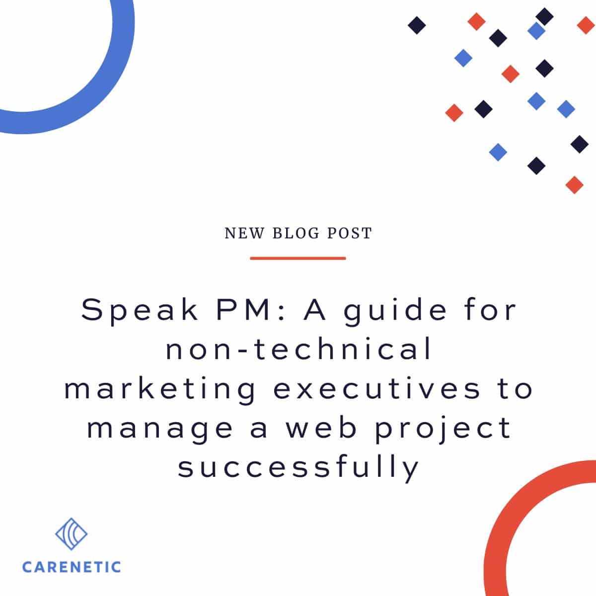 Speak PM: A Guide for Non-Technical Marketing Executives to Manage a Web Project Successfully